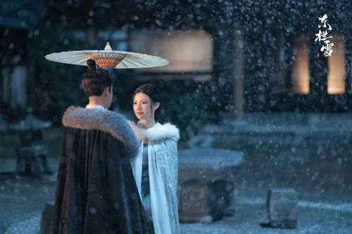 短剧寒门骄子——46集的励志传奇