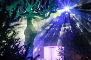 短剧仙帝，八秩传奇的奇幻之旅