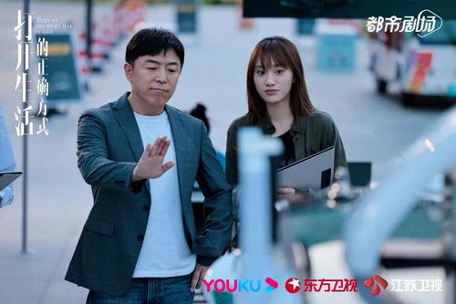 浩子与美女总裁的浪漫奇缘，78集短剧的幸福追逐