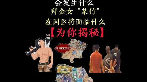 短剧缅北反诈终极之战——81集的深度剖析与思考 短剧缅北反诈终极之战——81集的深度剖析与思考