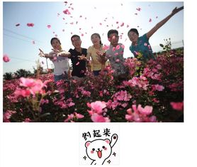 短剧玫瑰的绽放——辛宛柔的69集人生之旅 短剧玫瑰的绽放——辛宛柔的69集人生之旅