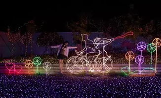 短剧她如夜色初亮——璀璨星光下的情感之旅