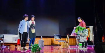 短剧二十九，六十六集的精彩演绎