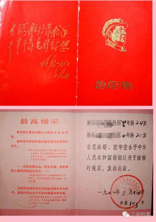 短剧时光录，夫人，你忘了我们的领证大事（第83集）