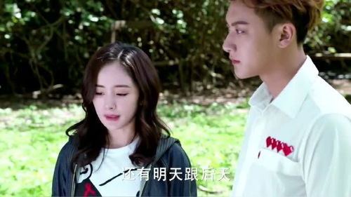 短剧霸道总裁的刁蛮女友——73集的浪漫与挑战