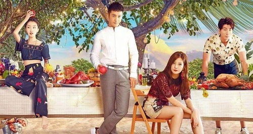 短剧爱随天意的魅力之旅 短剧爱随天意的魅力之旅