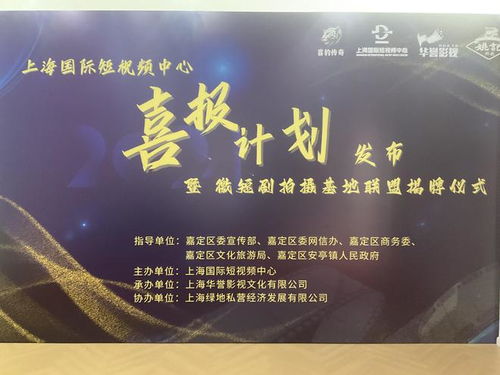 邵迪执导的短剧飞鸟归山——百集传奇的创作与解读