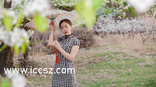 重回七零，李雪莹的寻梦之旅