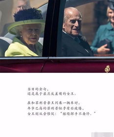 短剧婚姻的硝烟——97集的深度解读 短剧婚姻的硝烟——97集的深度解读