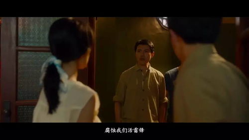 短剧假戏真婚——林籽蓉的82集人生之旅