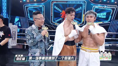 拳力以赴——新版短剧哭泣的拳头全解析（75集）