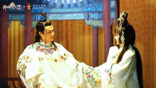 穿越剧神医驸马爷——80集短剧的魅力与影响