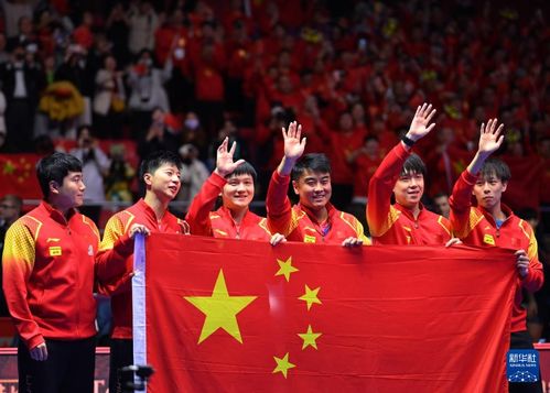 短剧奥运之冠军归乡——31集的荣耀之旅 短剧奥运之冠军归乡——31集的荣耀之旅