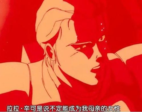 进击的玫瑰，短剧的魅力与影响