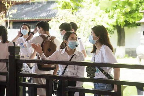 似火流年，百集短剧的时光之旅