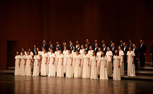 短剧天赐的声音——81集的视听盛宴 短剧天赐的声音——81集的视听盛宴