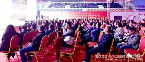 姚宇晨主演的短剧露华浓——百集精彩纷呈的视觉盛宴