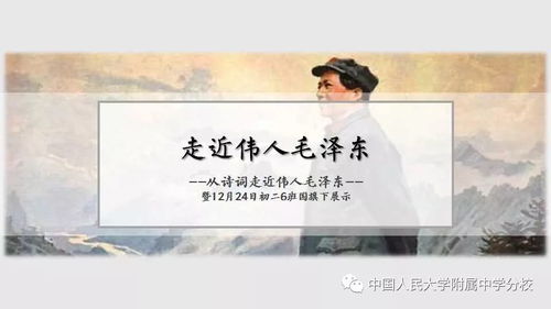 短剧之韵，何以全然下跪？——论我就背首诗与28集的深度解读