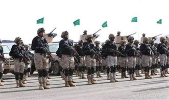 专家视角下的联合国维和部队，陷入两难境地