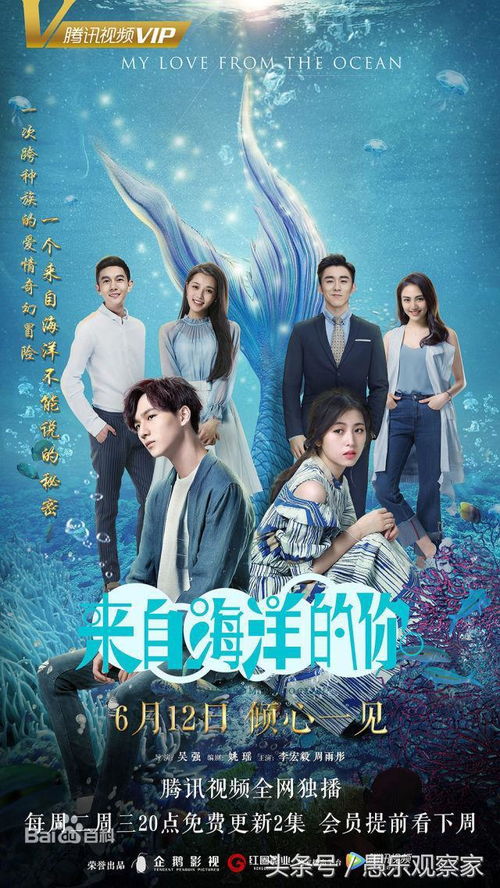 短剧傅少你的身世不简单——一场跨越89集的家族风云 短剧傅少你的身世不简单——一场跨越89集的家族风云