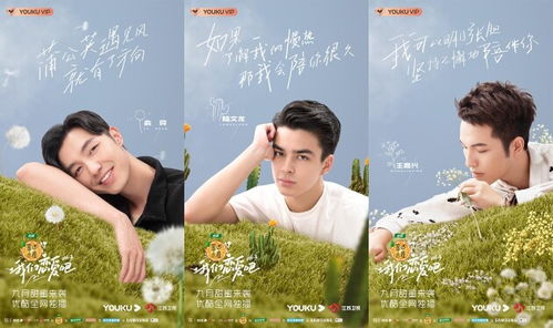 短剧沉默的爱，百集情感之旅