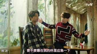 短剧灿烂的转身,36集的魅力与深度 短剧灿烂的转身,36集的魅力与深度