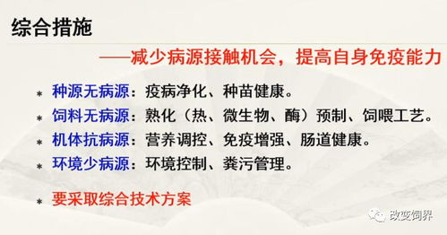 短剧衣锦荣归的魅力与深度解读 短剧衣锦荣归的魅力与深度解读