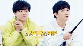 锦鲤之音，姚宇晨与炮灰家人的心声秘闻