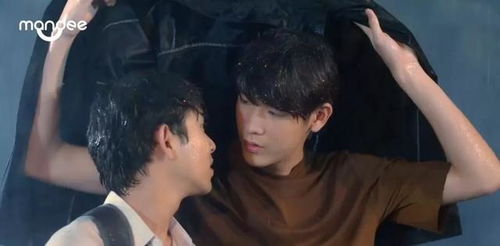 四兄争一夫，我与哥哥们的短剧之旅