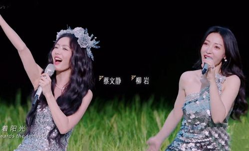 璀璨星河，短剧天上星，亮晶晶的魅力之旅