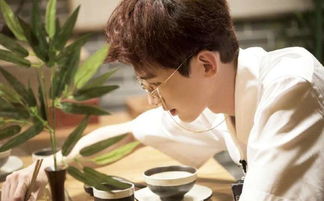 短剧,我真不想当明星啊——80集的梦想与挣扎 短剧,我真不想当明星啊——80集的梦想与挣扎