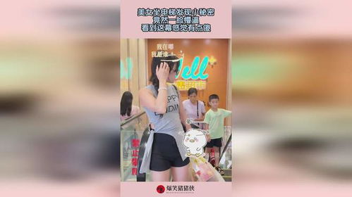 短剧我的美女房客——80集的都市情感故事