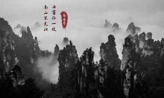 短剧悬崖上的爱——跨越千山万水的深情