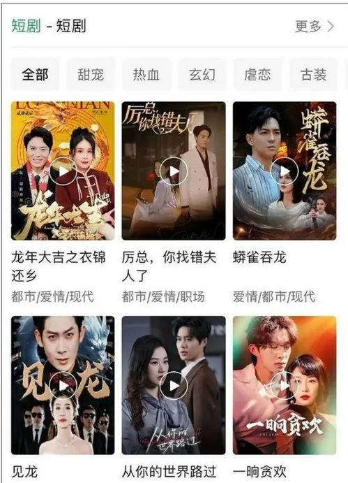 倒插门后的中秋节，首富身份的80集短剧