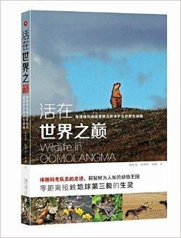 短剧大山的守护，七秩篇章，守护自然之魂