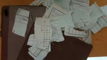 撕毁的录取通知书,73集短剧开学前的风波 撕毁的录取通知书,73集短剧开学前的风波