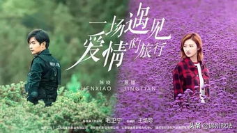 短剧姐姐何时归——60集的期待与情感之旅