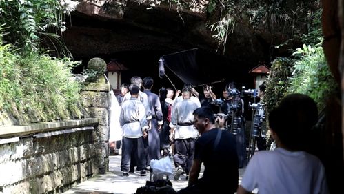 短剧铁拳无敌杨芊芊——71集的武侠传奇