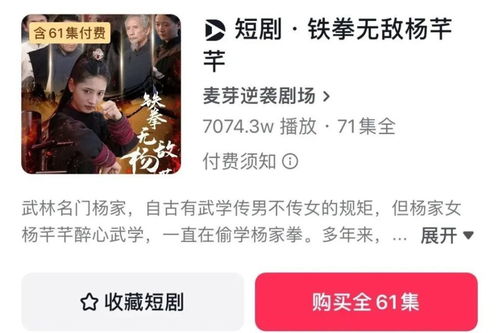 短剧铁拳无敌杨芊芊——71集的武侠传奇