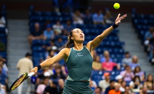 郑钦文晋级武网决赛，迎战萨巴伦卡，展现中国网球新力量