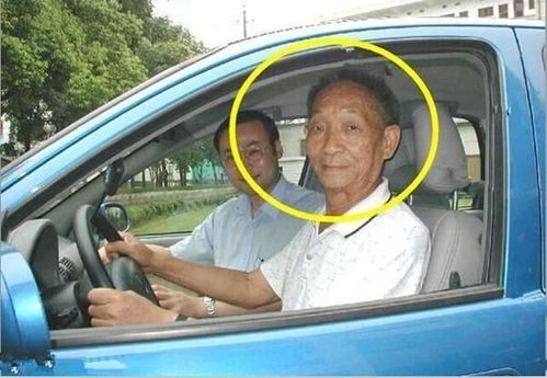 张本智和的辉煌时刻，夺冠后被教练抱起的荣耀瞬间