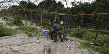 朝鲜半岛局势陡然升级的背后原因分析 朝鲜半岛局势陡然升级的背后原因分析