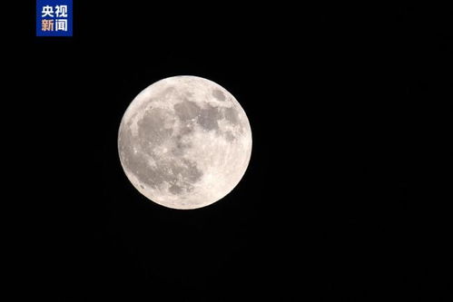 快看啊!那超级大的月亮! 快看啊!那超级大的月亮!