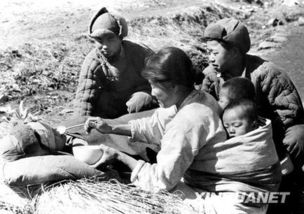 援俄朝鲜部队的实力与战斗力分析