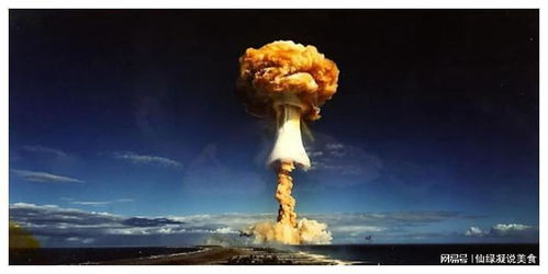 泽连斯基的抉择，核武器与北约之路