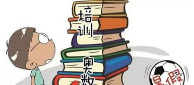 媒体报道，校长与孩子共餐，共享平等与责任