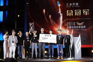 付航总冠军，荣耀之路的辉煌瞬间