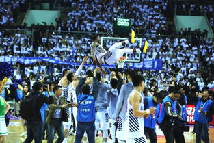 付航总冠军，荣耀之路的辉煌瞬间