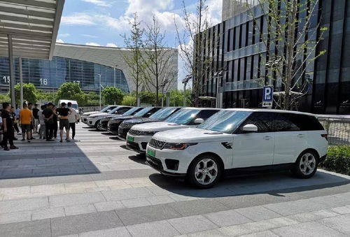 9.9万买到的报废车，车主的牛拉车维权之路