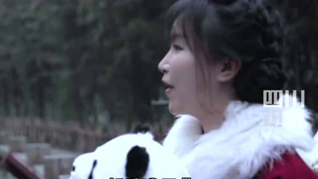李子柒亮相强国熊猫周宣传视频,传递文化魅力 李子柒亮相强国熊猫周宣传视频,传递文化魅力